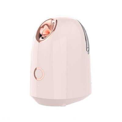 Facial Beauty Steamer