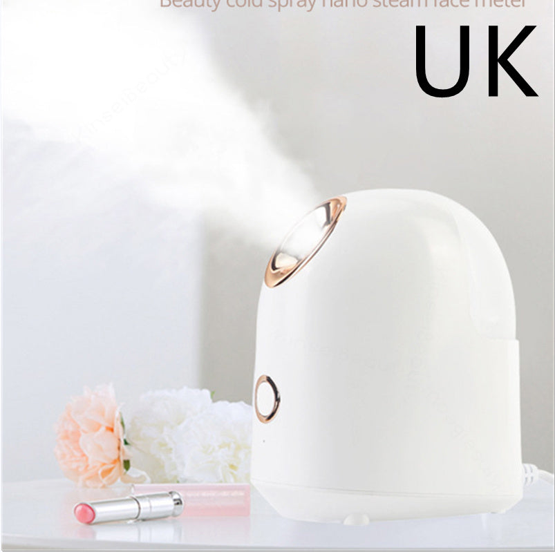 Facial Beauty Steamer