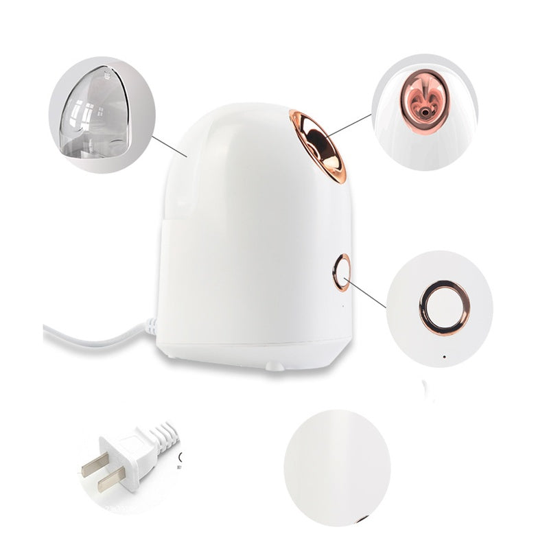 Facial Beauty Steamer