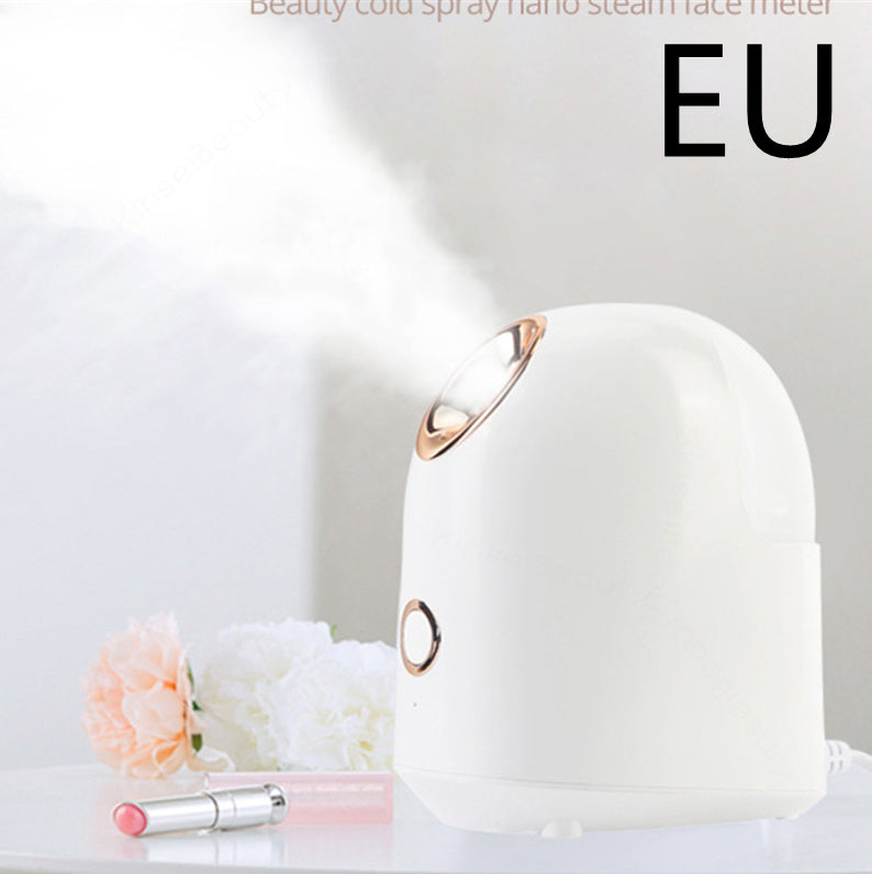 Facial Beauty Steamer